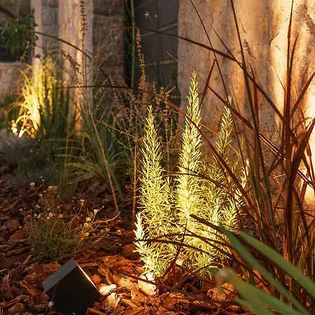 Villa Ertha Retreat Homes *