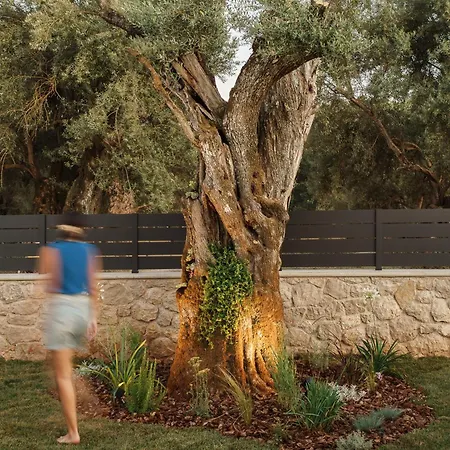 Villa Ertha Retreat Homes *