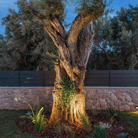 Ertha Retreat Homes Lefkada City