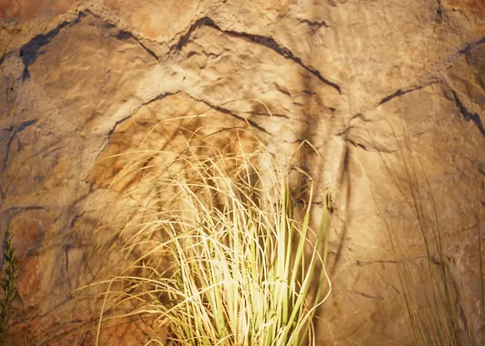 Βίλα Ertha Retreat Homes Λευκάδα